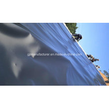 0.75mm HDPE Geomembrane Used for Fish Pond Liner